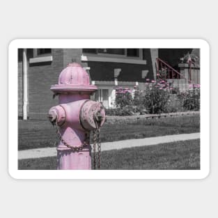 Flowers and Fire Hydrant Sticker